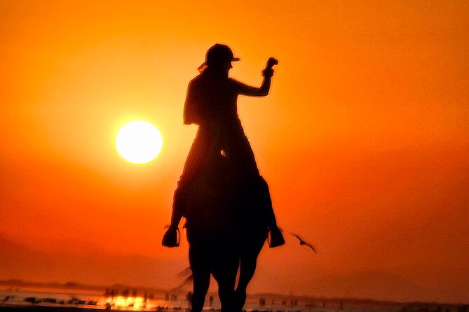 Horseback Riding Muscat Beach - Price and what you receive for $76.66
