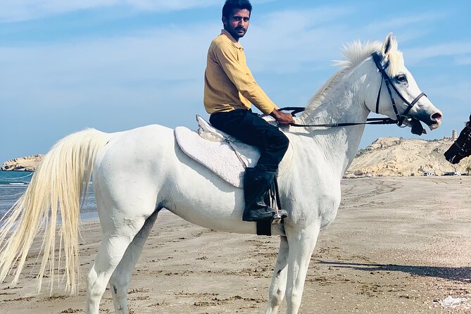 Horseback Riding Muscat Beach - Meeting the horses and getting ready