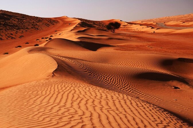 Hot Air Balloon Tour at Wahiba Sands - Key points at a glance