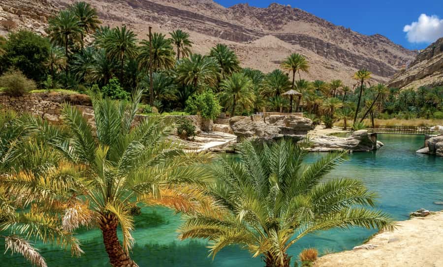 Incredible Oman: 5-Day Guided Tour - Six details that shape the experience