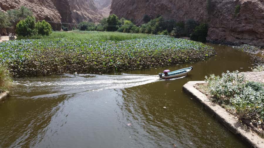 Incredible Oman: 5-Day Guided Tour - Day 3: Bimmah Sinkhole and the active hours at Wadi Shab