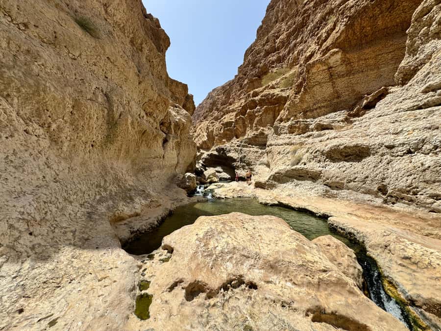 Incredible Oman: 5-Day Guided Tour - What the $900 price really covers