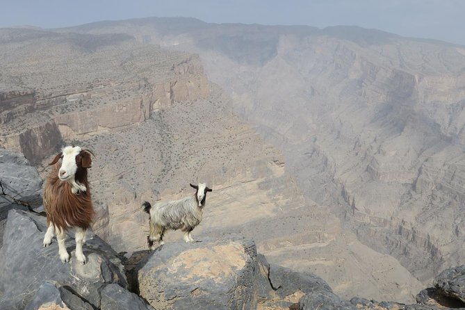Jabal Shams (Grand Canyon) Tour - Five details that shape the day