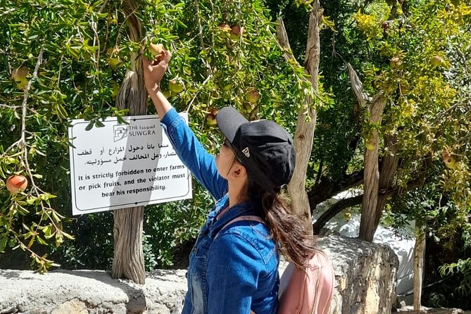 Jebel Akhdar Al Suwjara - Birkat Al Mouz Ruins - Private Full Day Tour - Key points at a glance