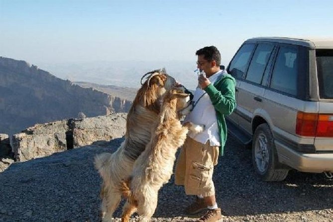 Jebel Shams Day Trip: The Grand Canyon of Oman - Nizwa Souq: one hour in Oman’s old capital