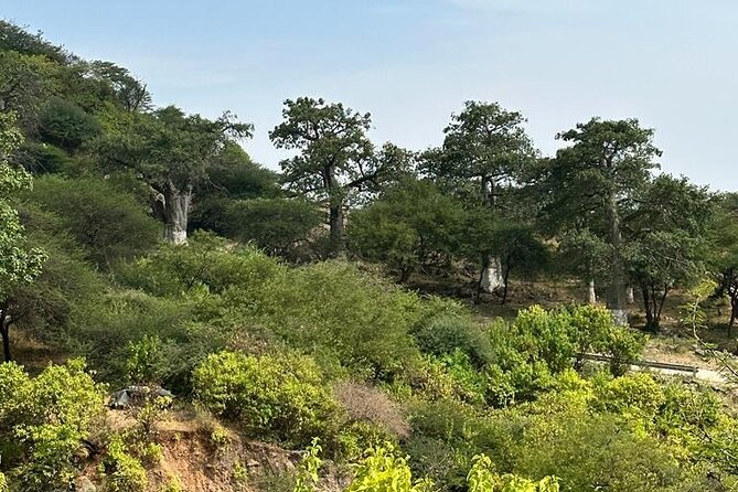 Khareef Salalah- Full Day Mountains and Waterfalls - Jabal Samhan and the Final Mountain Lookout