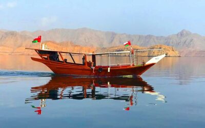 Dolphin Watching Day Tour with Snorkeling & Lunch