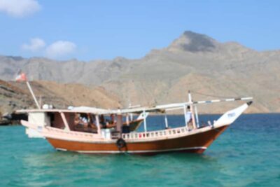 Half-Day Dhow Cruise, Dolphin Watching, & Snorkeling