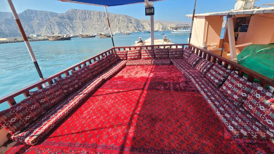 Khasab: Half-Day Dhow Cruise, Dolphin Watching, & Snorkeling - Who should book this Khasab cruise