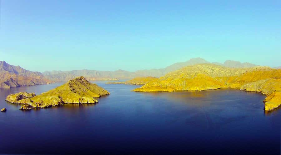 Khasab: Half-Day Dhow Cruise with Dolphin Watching - Telegraph Island and the 40-minute swim stop