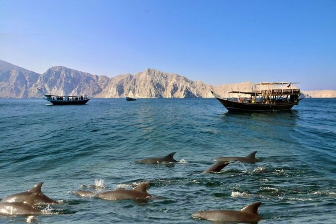 Khasab Musandam Full Day dhow cruise with lunch and Snorkeling - Why Khasab’s fjords are worth your day