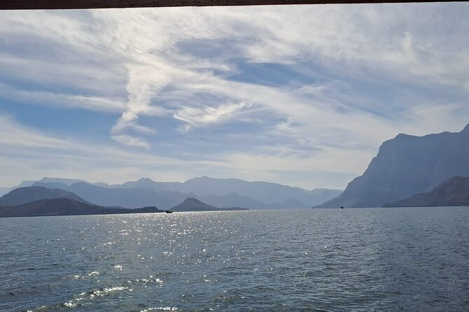 Khasab Musandam Half Day Dhow Cruise and Snorkeling Trip - Dolphin watching along the route
