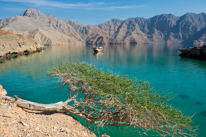 Khasab Musandam Half Day Dhow Cruise - Starting near Lulu Hypermarket in Khasab