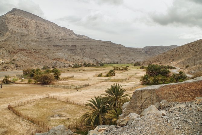 Khasab Musandam Mountain Safari - Fossils, rock layers, and very old inscriptions
