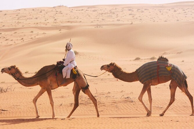 Luxury Sunset Desert Safari - Sunset, Arabic coffee, and the best pause of the day