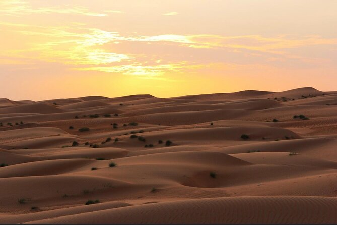 Luxury Sunset Desert Safari - Wadi Dawkah and the world of frankincense