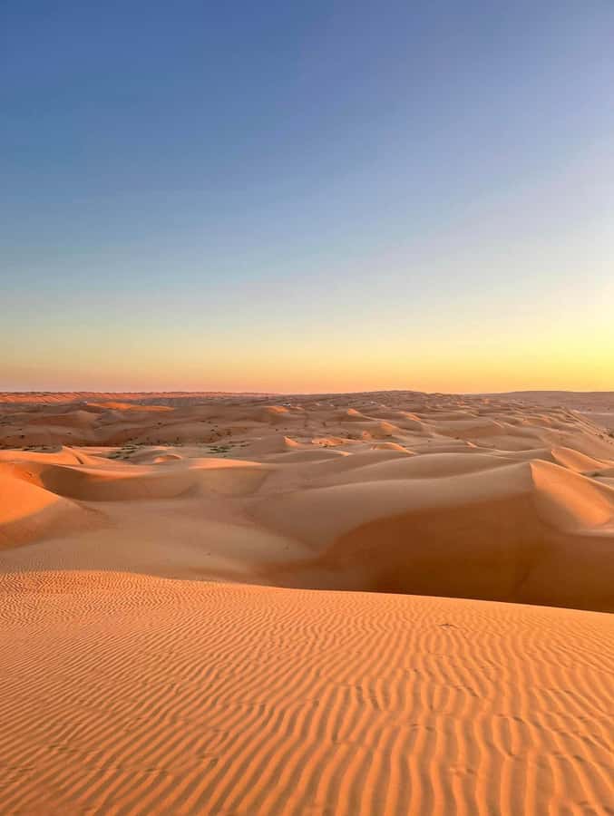 Magical Desert Safari By Land Cruise in Empty Quarter - Key points to know before you go