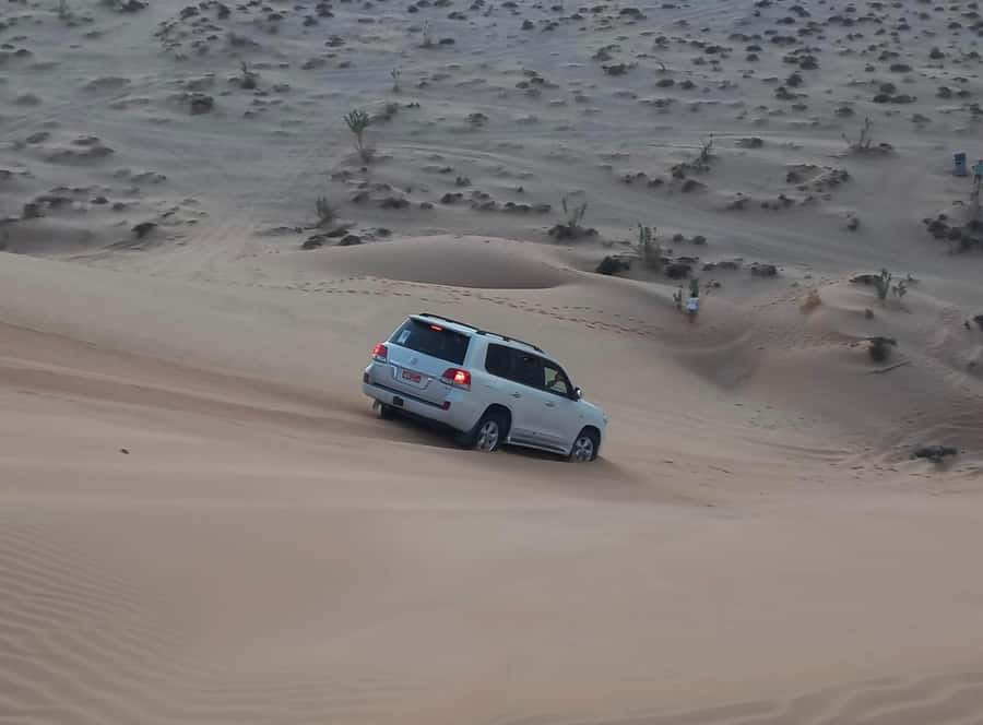Magical Desert Safari By Land Cruise in Empty Quarter - A full day from Salalah into Dhofar