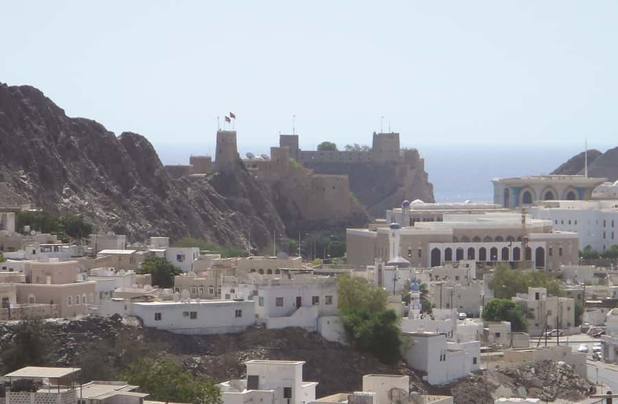 Majestic Canyon & Nizwa Cultural Journey from Muscat - Nizwa Fort and the traditional souq