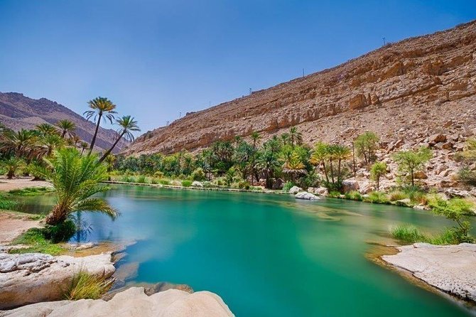 Mountain, Desert & Coastal Tour (03 Days / 02 Nights) - The guide and vehicle make the difference