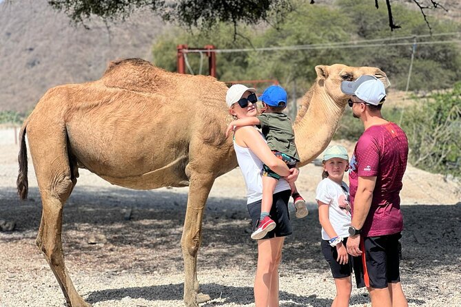 Mountain Safari, Camels, waterfalls & lunch (Group Tour) - Wadi Darbat and the seasonal waterfalls