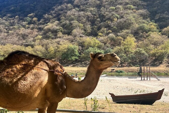 Mountain Safari, Camels, waterfalls & lunch (Group Tour) - Tawi Ateer and Teeq Cave, dramatic but demanding