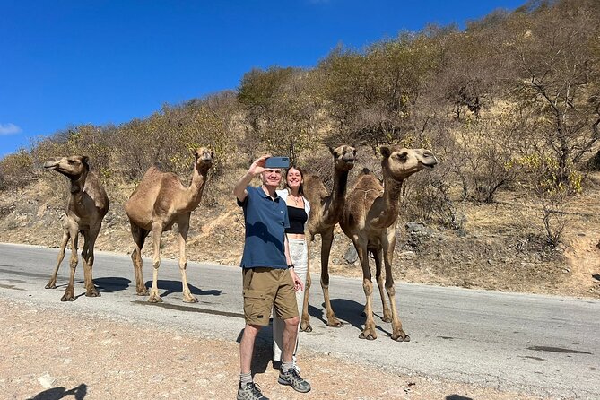 Mountain Safari, Camels, waterfalls & lunch (Group Tour) - Wadi Hannah and the baobab trees