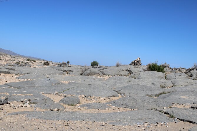 Mountain Safari in Jebel Harim - Who gets the best value from this safari?
