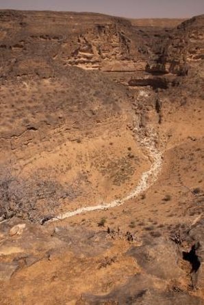Mountain Safari Private Tour - Key points to know before booking