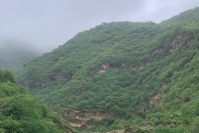 Mountain Safari Private Tour - Hasheer Agher and the baobab grove