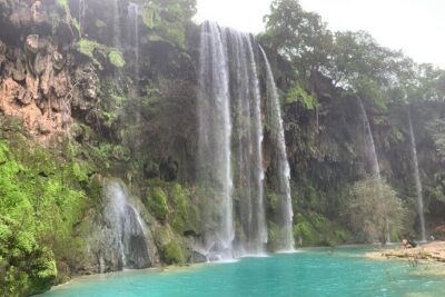 Mountain Safari Private Tour