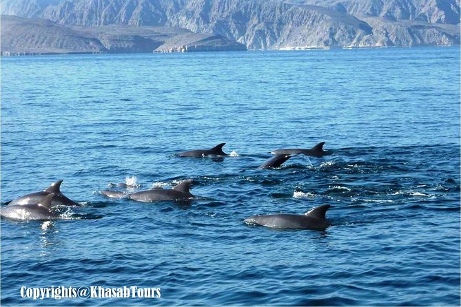 Musandam Khasab Day Trip and Dhow Cruise from Dubai - Telegraph Island and the water stop