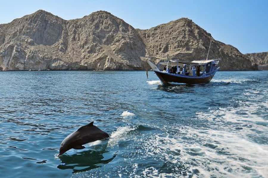 Musandam Khasab Full-Day Cruise with Transfers & Lunch - The 6:30 a.m. road to Khasab
