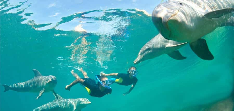 Muscat: 4-Hour Snorkeling Tour with Dolphin watching - What the three-hour sea session feels like