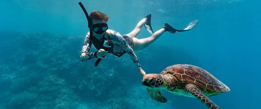 Muscat: 4-Hour Snorkeling Tour with Dolphin watching - Who will enjoy this trip most