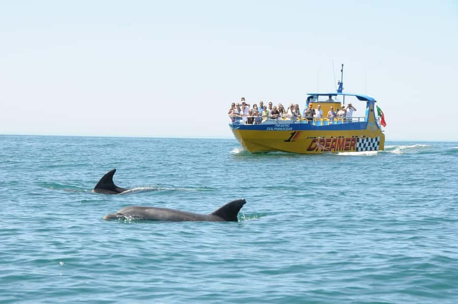 Muscat: 4-Hour Snorkeling Tour with Dolphin watching - Practical preparation for the morning