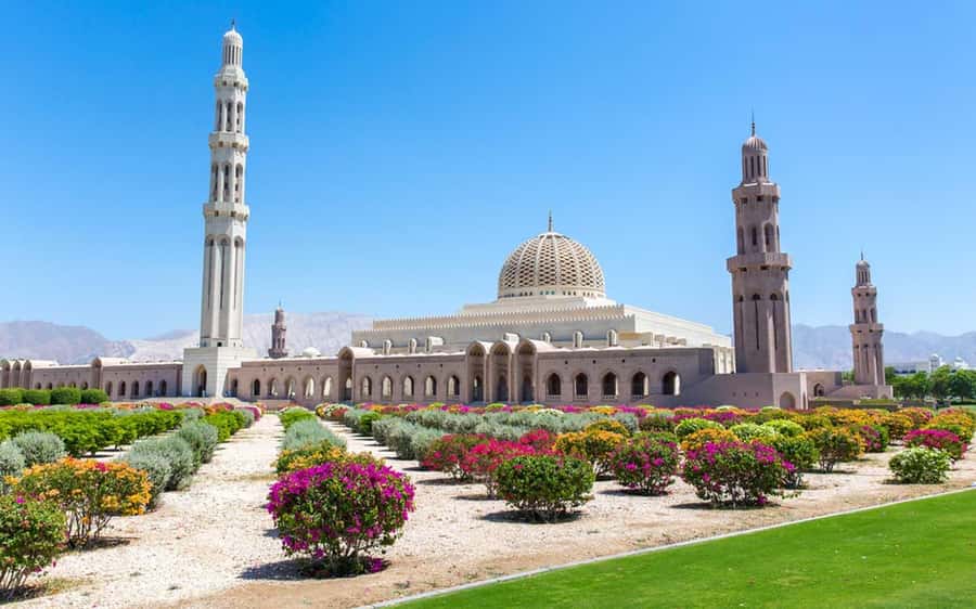 Muscat : 4 hours private Tour of Muscat City with Pick-up - Key things to know before booking