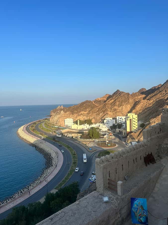 Muscat : 4 hours private Tour of Muscat City with Pick-up - Sultan Qaboos Grand Mosque sets the tone