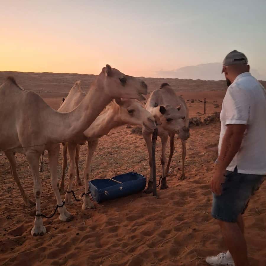 Muscat: Bidiya Desert Sunset Camel Ride with Transfer - The camel ride is a short introduction