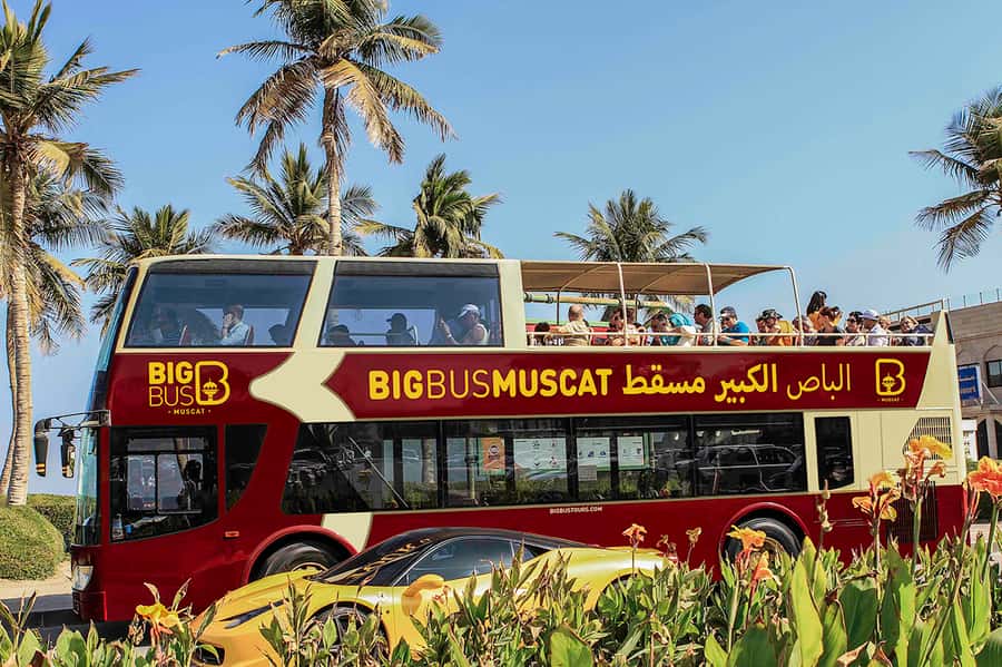 Muscat: Big Bus Hop-On Hop-Off Sightseeing Tour - Why this bus helps you understand Muscat