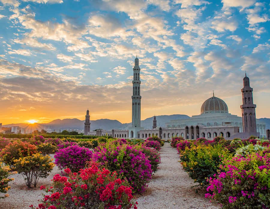 Muscat: Budget Friendly City Tour - What $46 buys you in Muscat