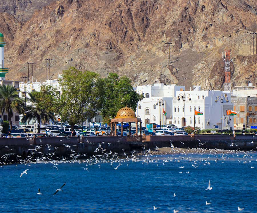 Muscat: Budget Friendly City Tour - What this tour does not try to be