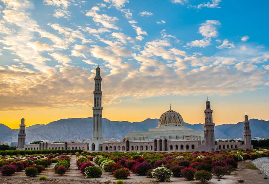 Muscat: City Highlights Tour with Optional Transfers - Why this tour works well as your first day in Muscat