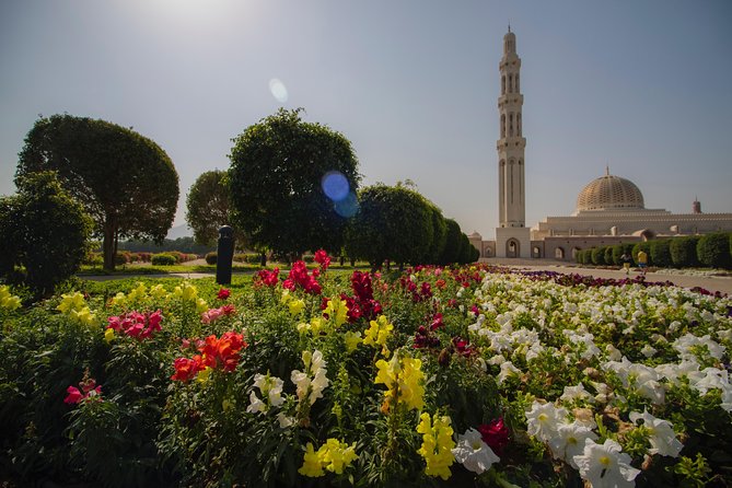 Muscat City Tour Full Day - Private Guided Tour from Muscat - Two hours at the National Museum