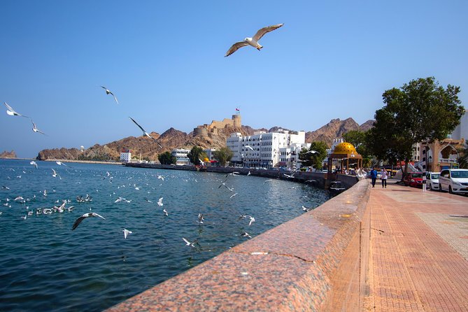 Muscat City Tour Full Day - Private Guided Tour from Muscat - The private vehicle and guide setup