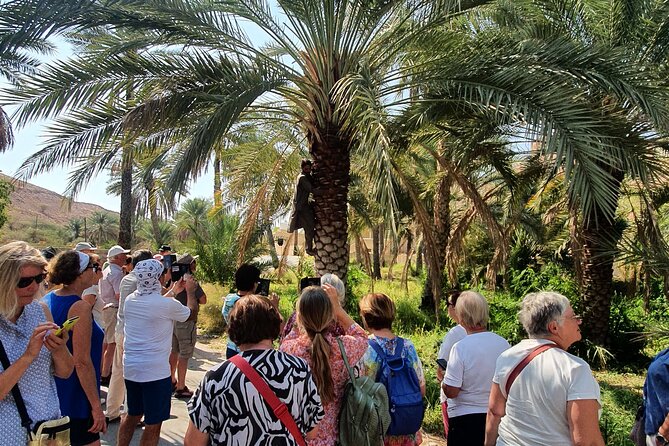 Muscat City Tour with All Language Guide - Why this short Muscat tour works well