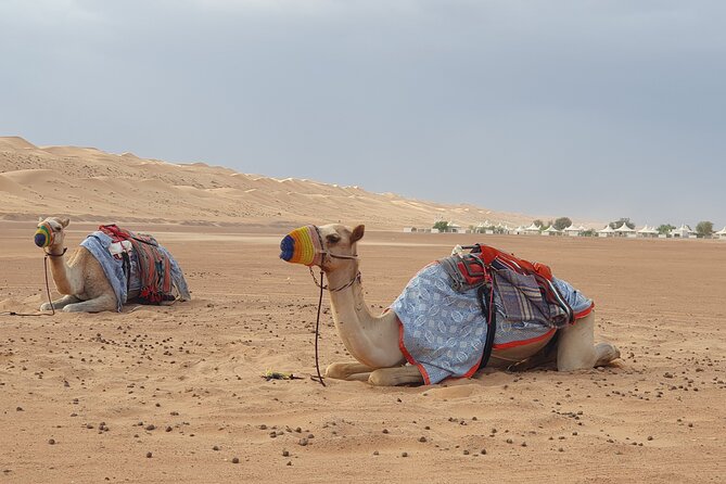 Muscat City Tour with All Language Guide - Al Alam Palace: royal color, short photo stop
