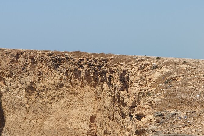 Muscat City Tour with All Language Guide - Who will get the most from this Muscat itinerary