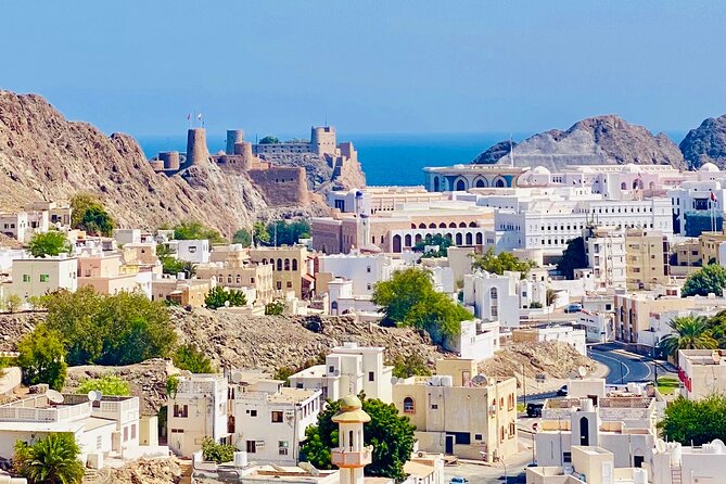 Muscat City Tour with Omani Guide (Private). - Why a private Muscat tour works well