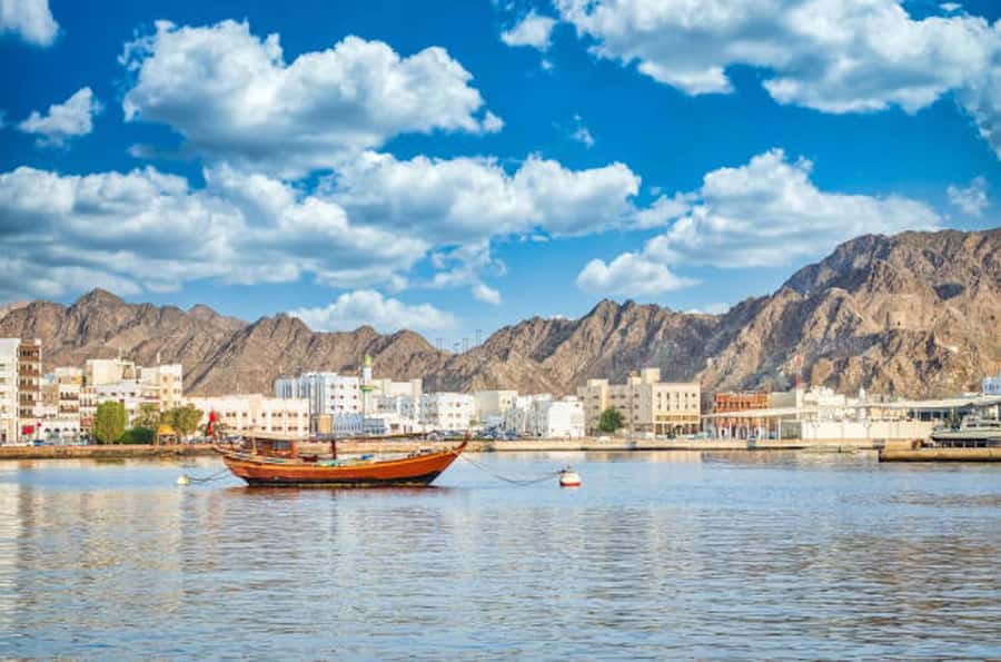 muscat city tour with pick up SMALL GROUP 7 PEOPLE MAX - Al Alam Palace, a royal photo stop